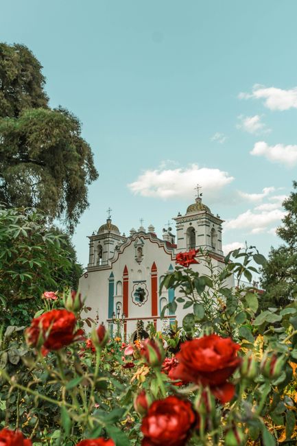 A beautiful Mexican church surrounded by vibrant red roses on a sunny day.