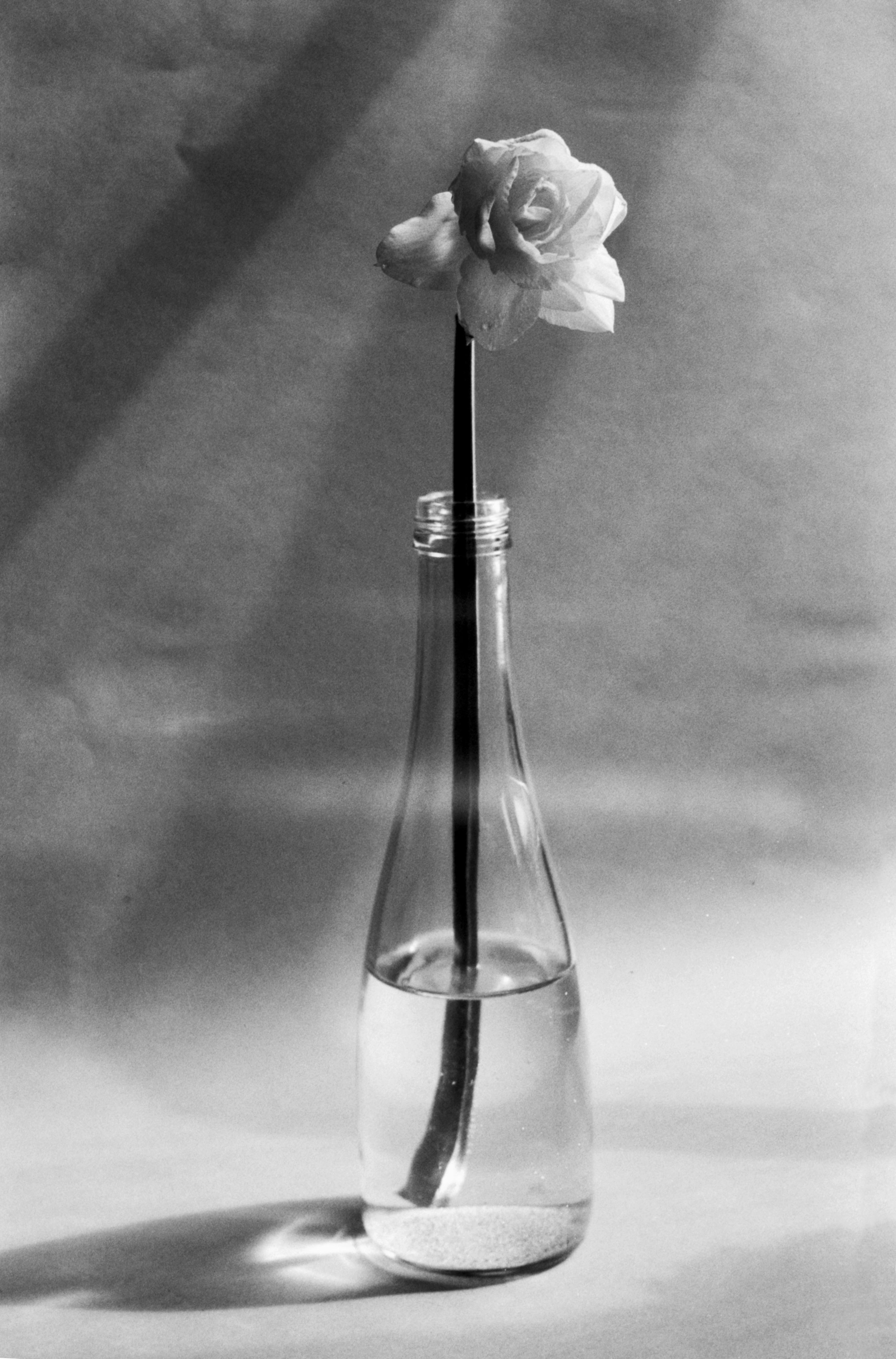 Elegant black and white photograph of a single rose in a glass bottle, capturing simplicity and grace.