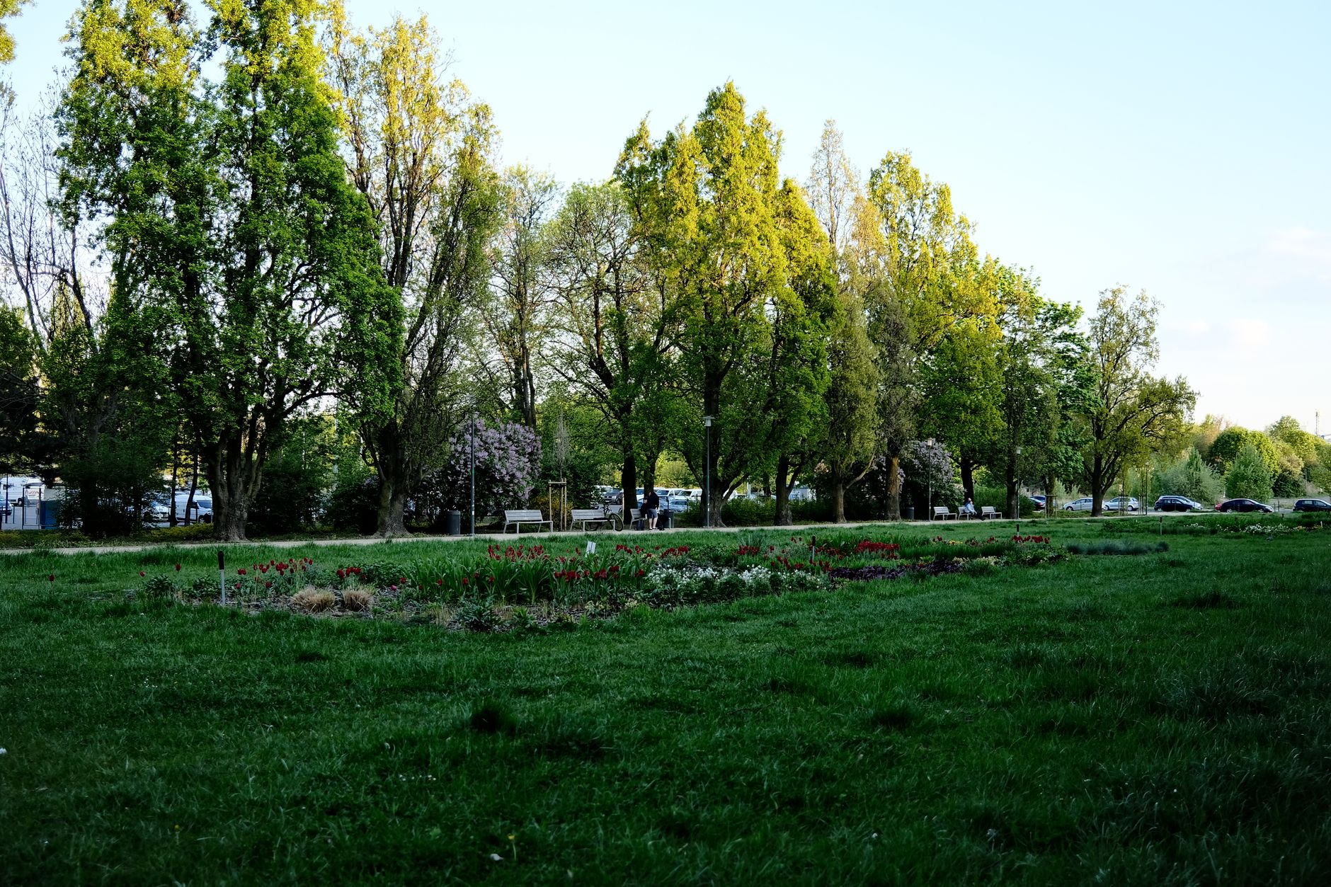 Banii publici în parc: teancuri imense și triste realități