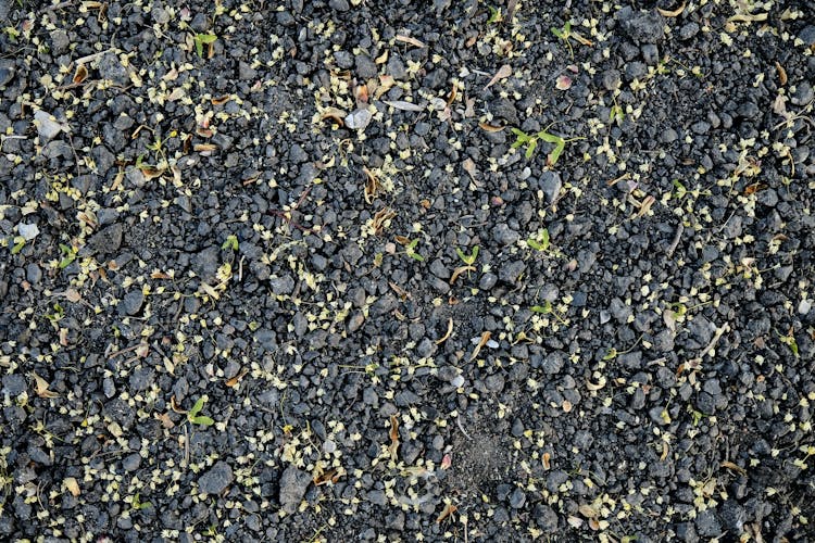 Close Up Of Pebbles On Ground