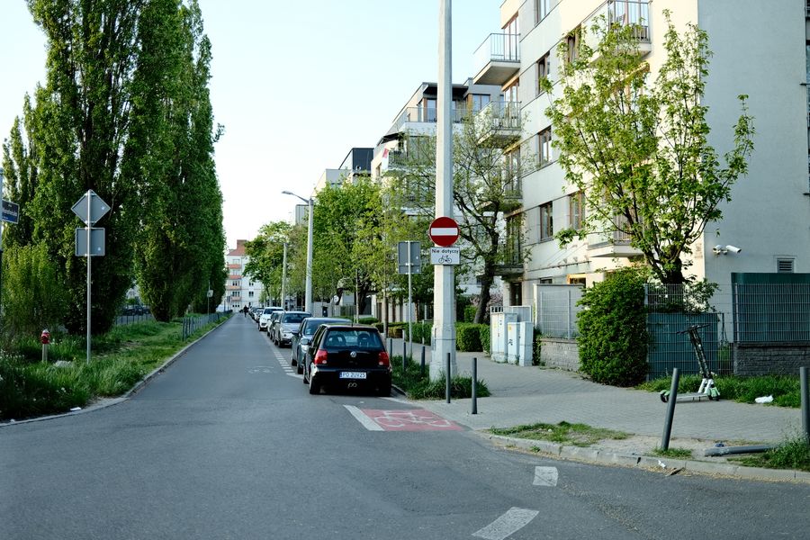 Street-level view along a tree-lined residential street. Photo by Egor Komarov on Pexels