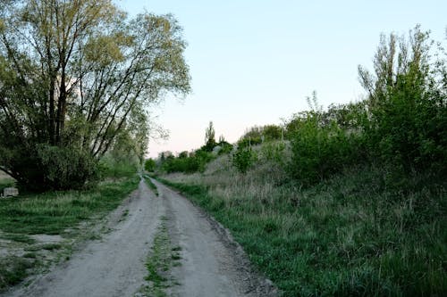 Ilmainen kuvapankkikuva tunnisteilla kirkas taivas, pensaat, puut