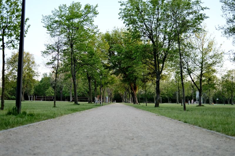 緑に囲まれた公園の遊歩道