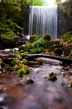 威尔士卡马森郡郁郁葱葱的森林中，一条令人惊叹的瀑布奔流而过