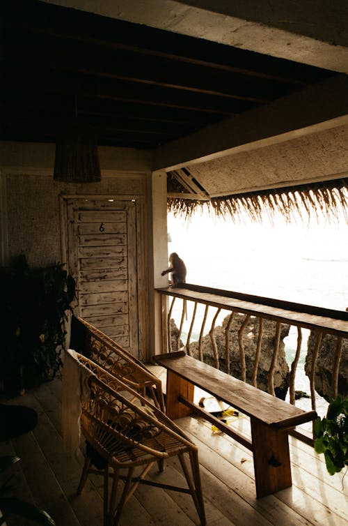 Foto profissional grátis de à beira-mar, bali, bangalô