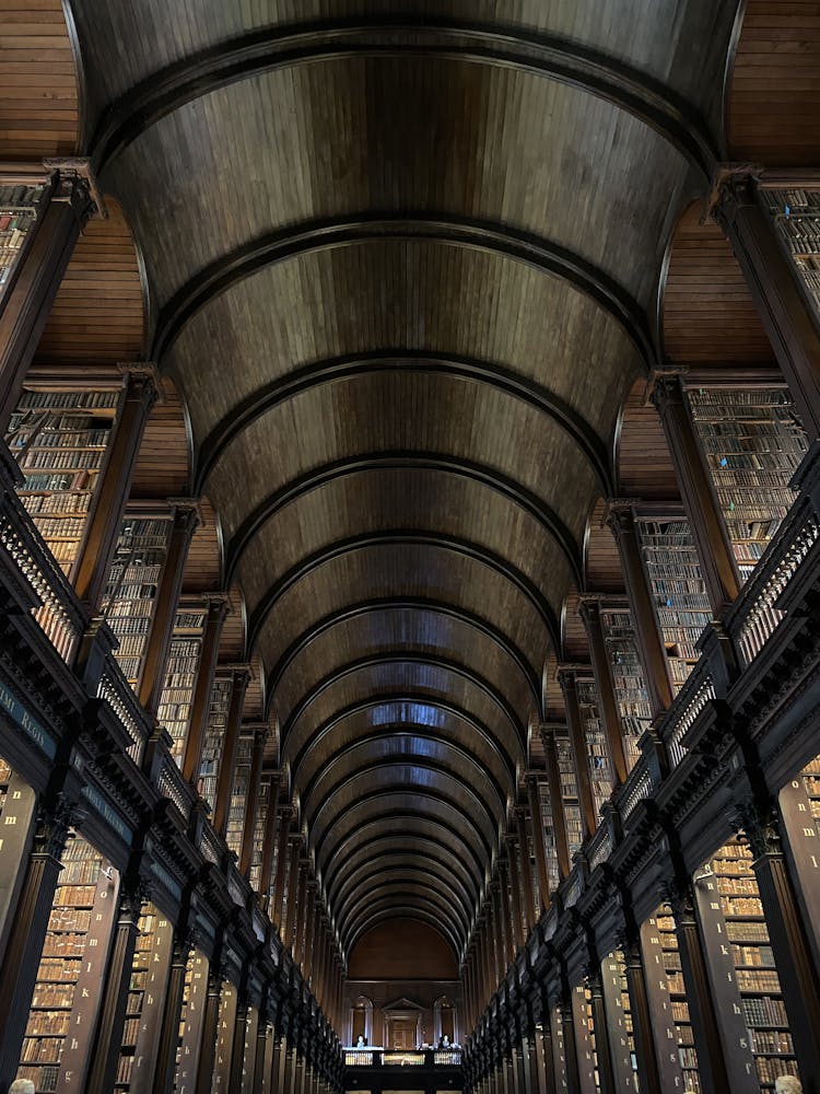 Arched Ceiling In Library