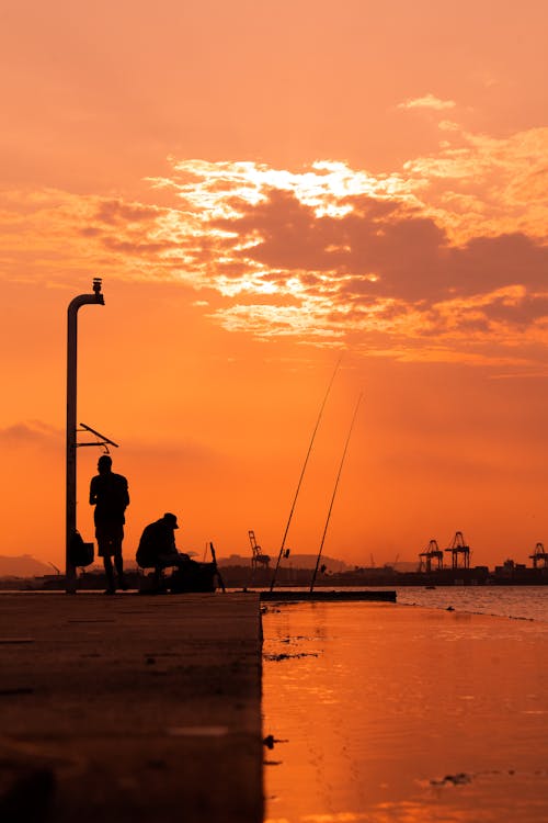 Foto stok gratis air, danau, Jeruk