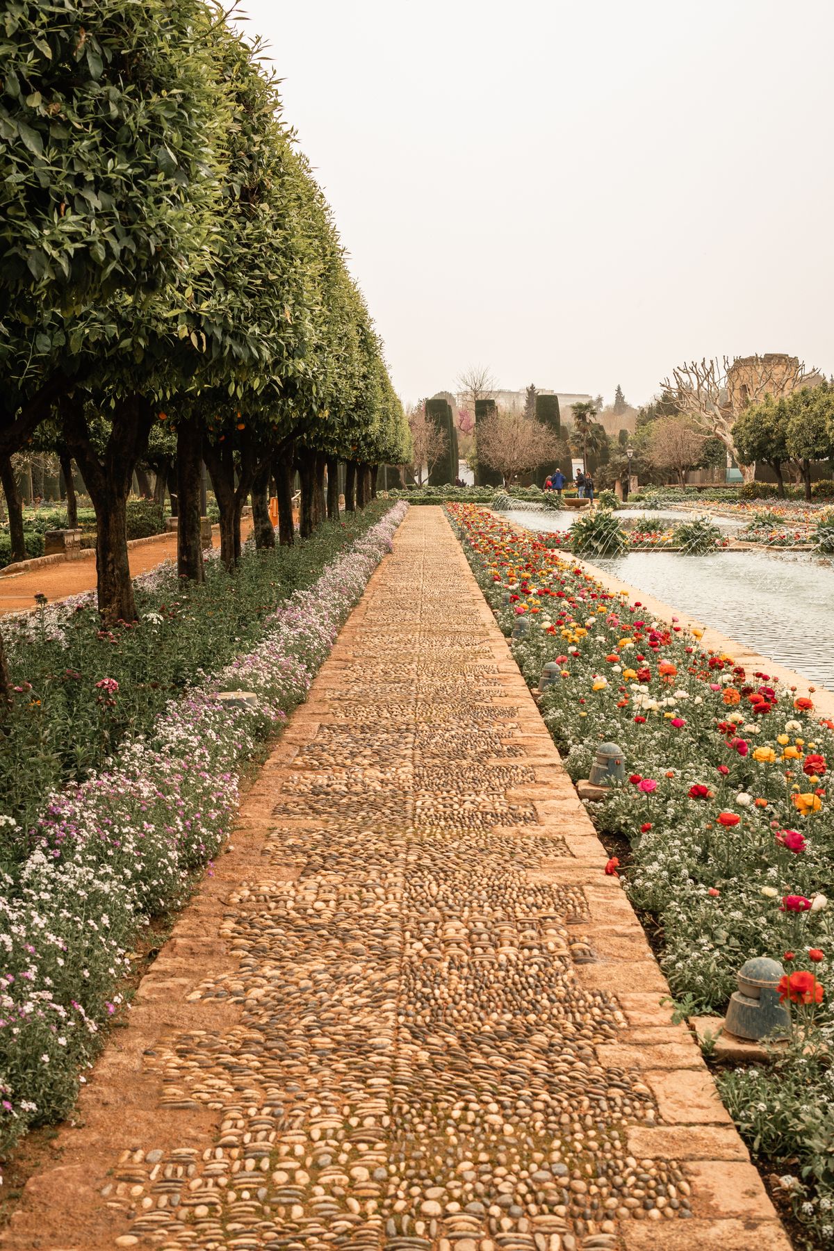 Clean interlocking paver stone walkway