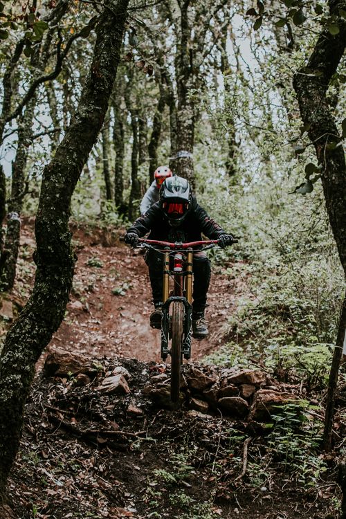 Free Mountain bikers navigate a challenging forest trail, embracing adventure and adrenaline. Stock Photo