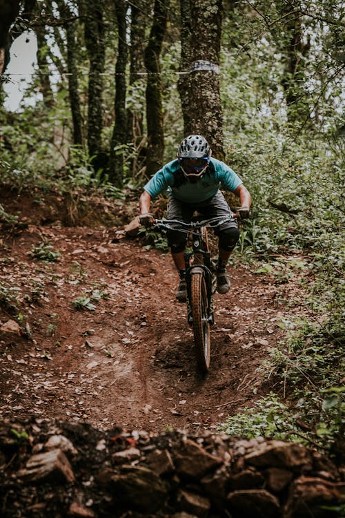 A Man Riding Bicycle in a Forest 