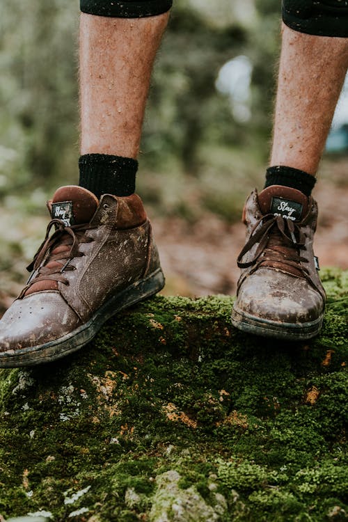 Foto stok gratis alas kaki, batu berlumut, berlumpur