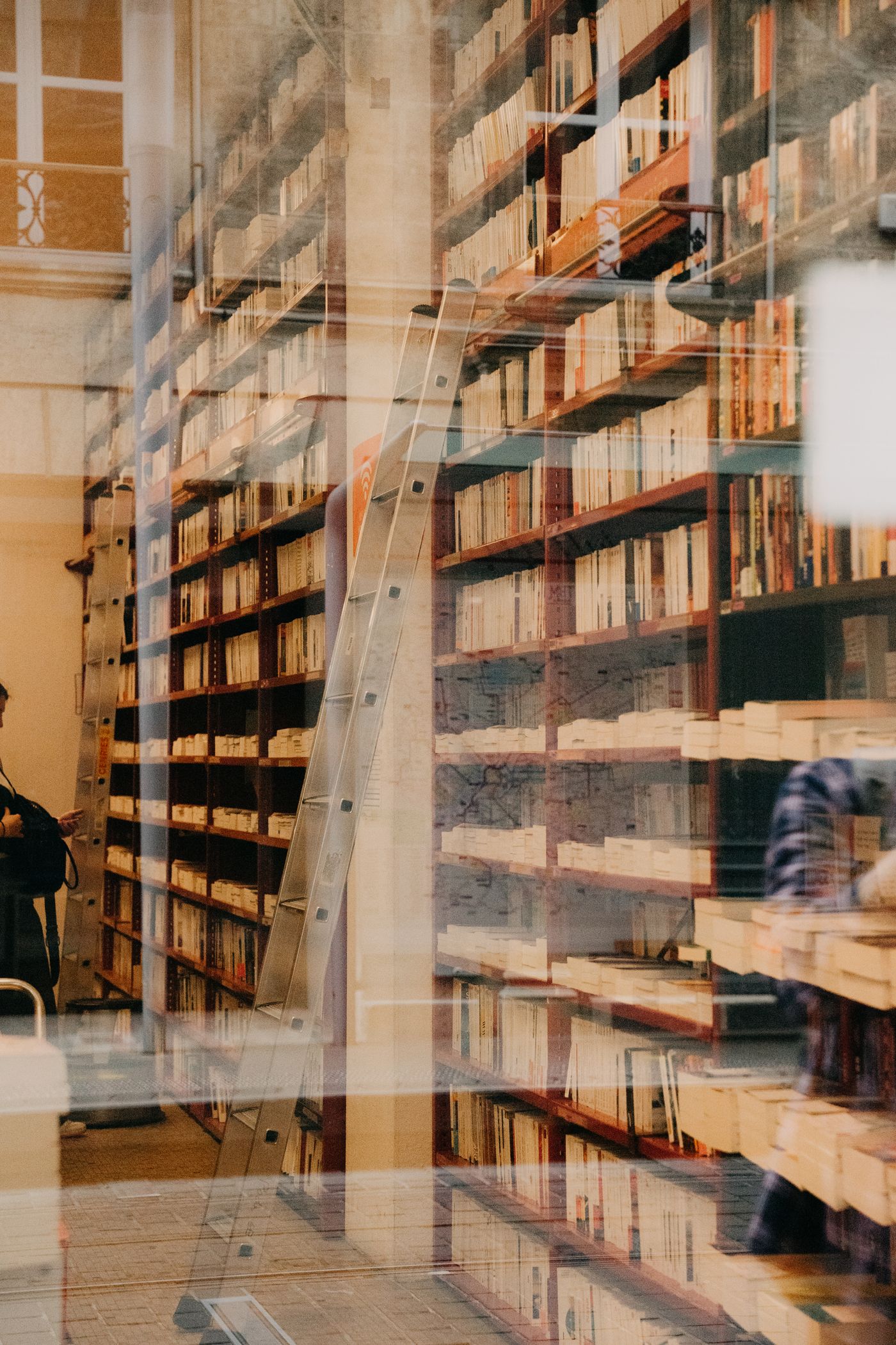 Les grandes étagères d'une bibliothèque à Bordeaux, avec une échelle