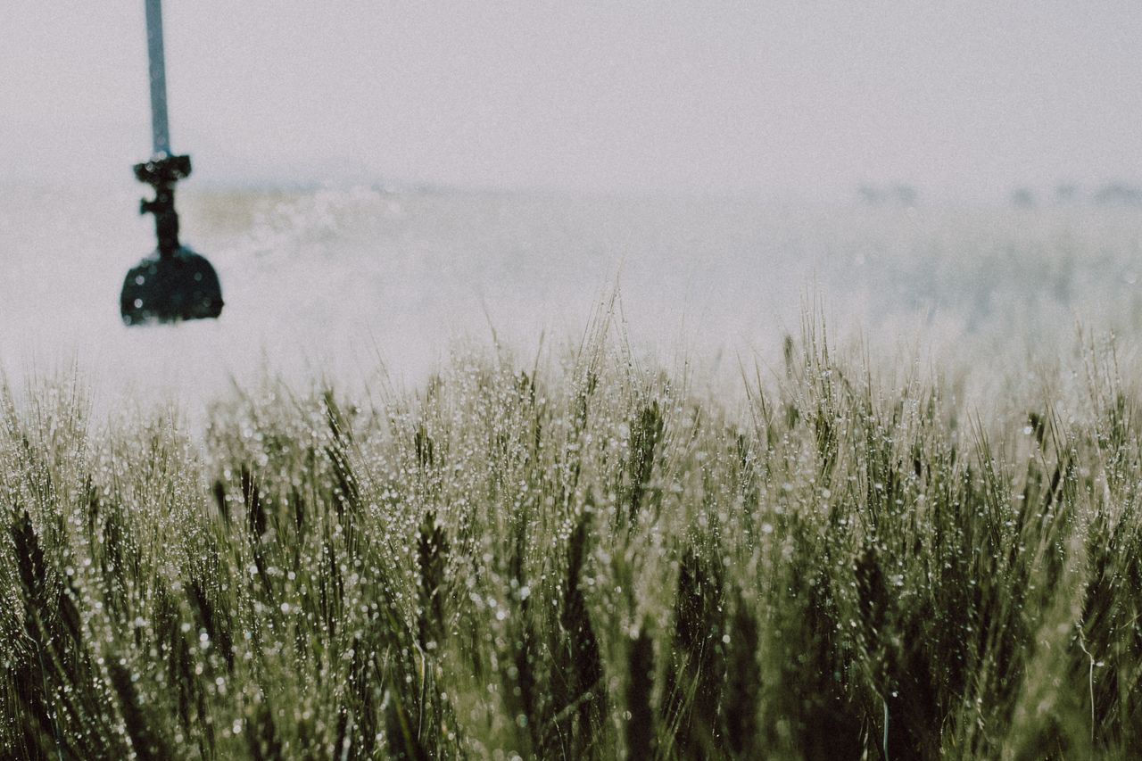 German Agriculture Faces Challenges from Extreme Weather and Heat Waves