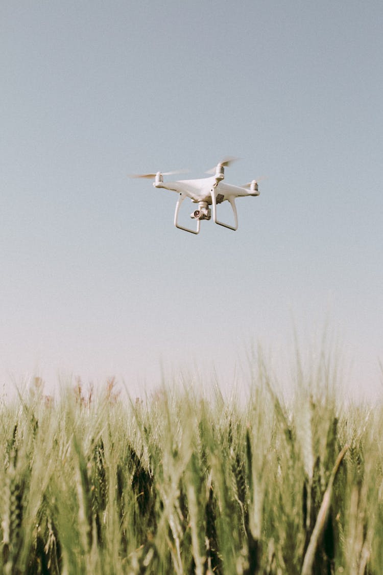 White Drone Flying Over Crop Field