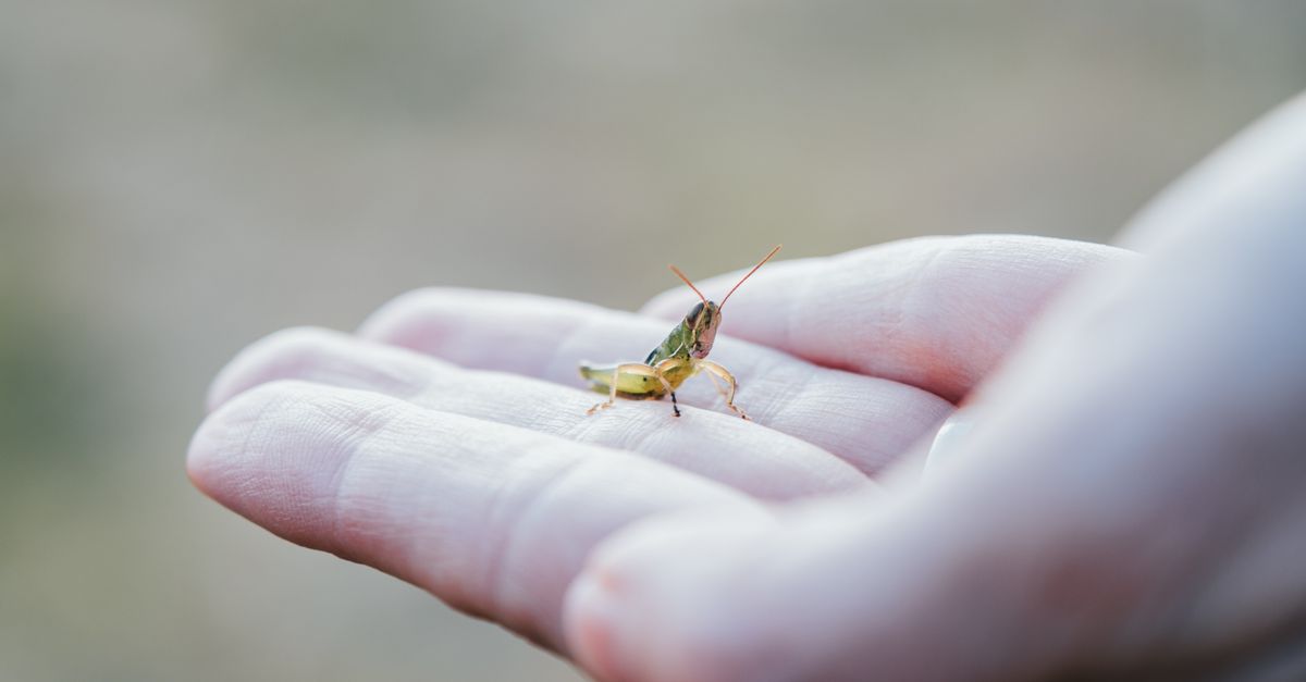 10 Tiny Habits That Will Quietly Transform Your Life by 2025