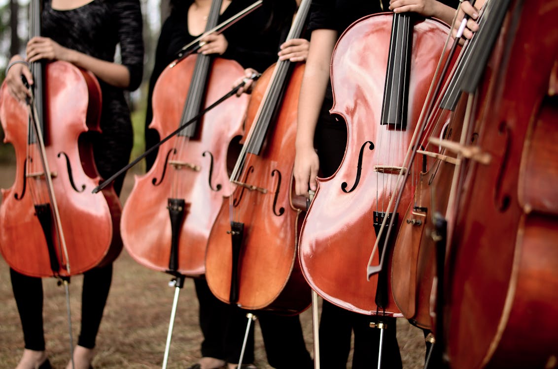 Free stock photo of bowed stringed instrument, cello, cellos