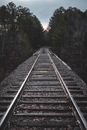Black Metal Train Rail in Between Green Trees