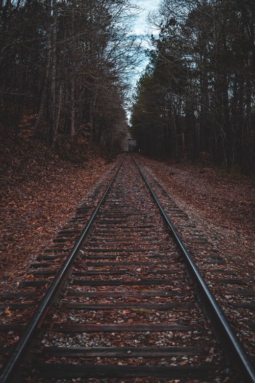 Free Scenic railway track surrounded by autumn trees, creating a dramatic and moody atmosphere. Stock Photo