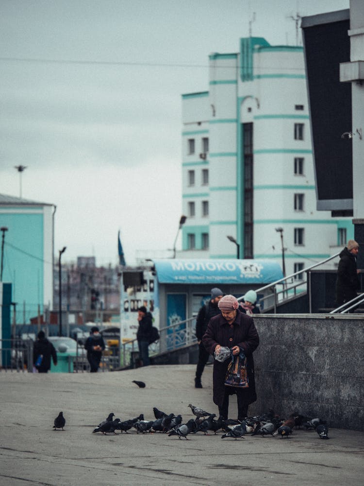 Woman Feeding The Pigeons