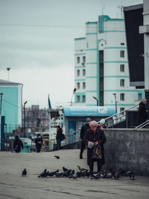 Free Elderly woman feeding pigeons in a city street, with modern buildings in the background. Stock Photo