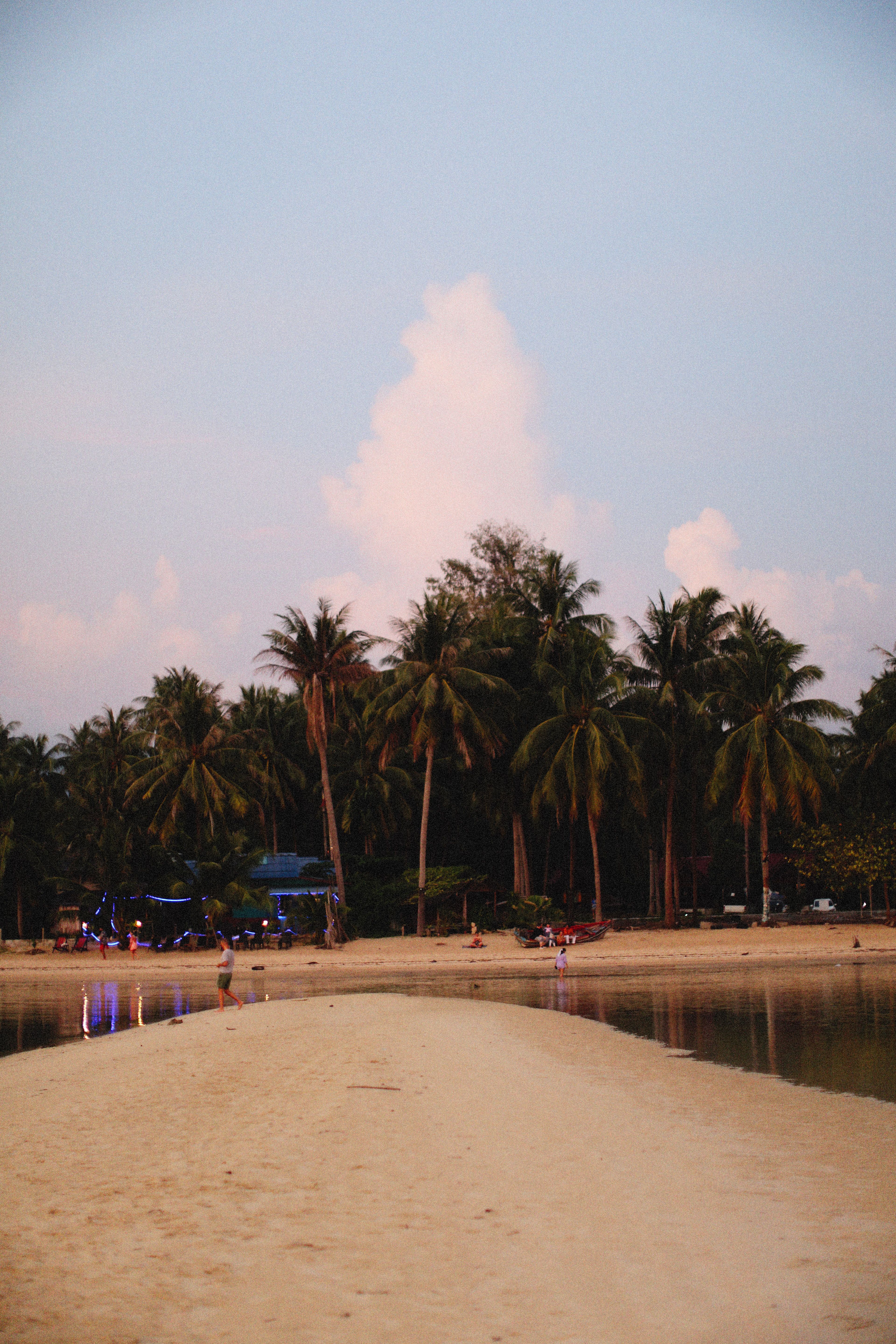 Peaceful tropical beach scene with palm trees at sunset, perfect for travel inspiration.