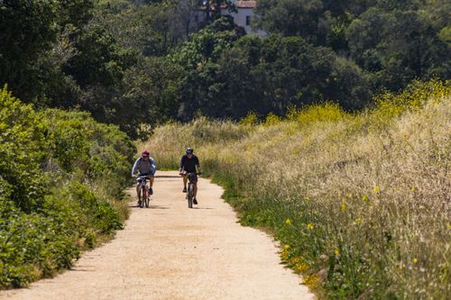 Free Two men cycling on a sunny nature trail, surrounded by lush greenery and wild grass. Stock Photo