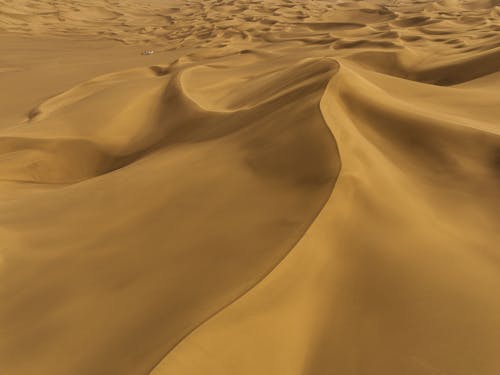Foto stok gratis bukit pasir, garis dan kurva, gurun pasir