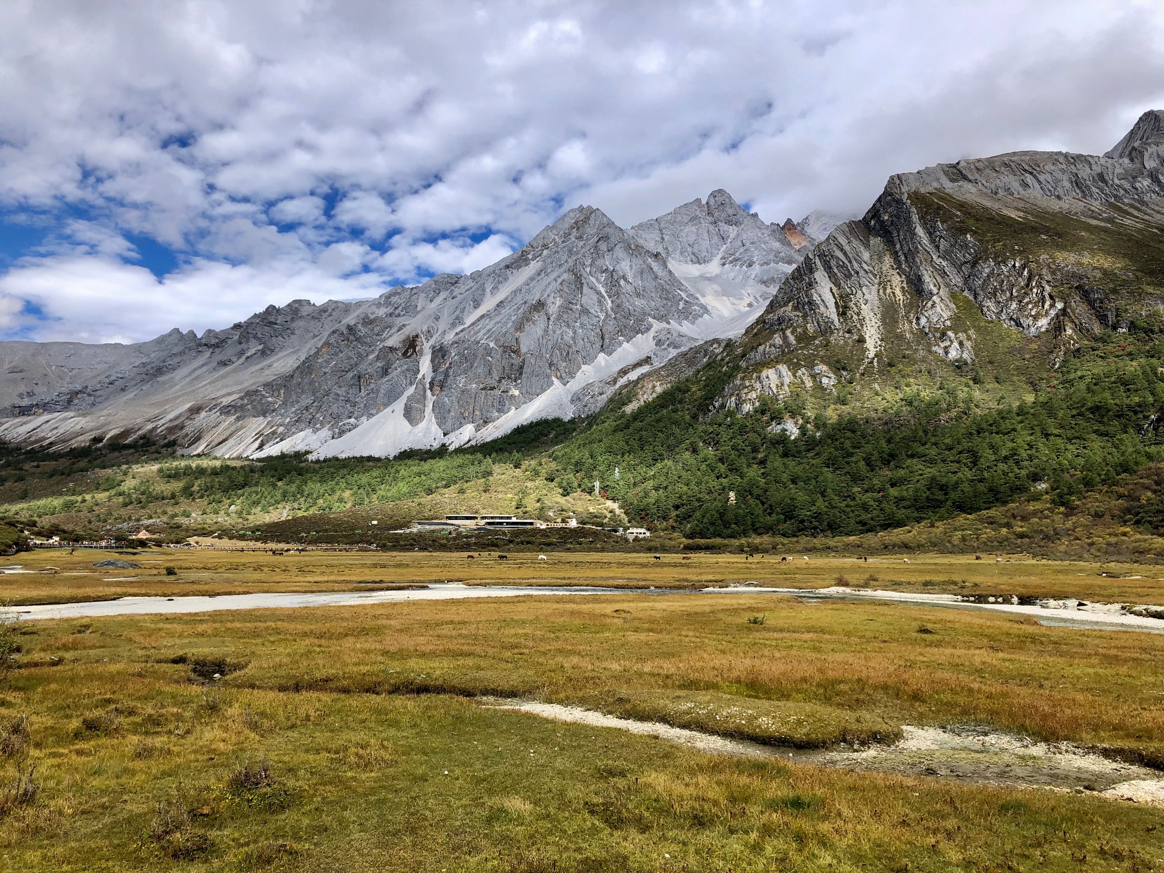 Daocheng Yading Sichuan Complete Guide 2026: Sacred Snow Mountains & Tibetan Trekking Routes