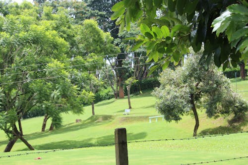 Free stock photo of golf field