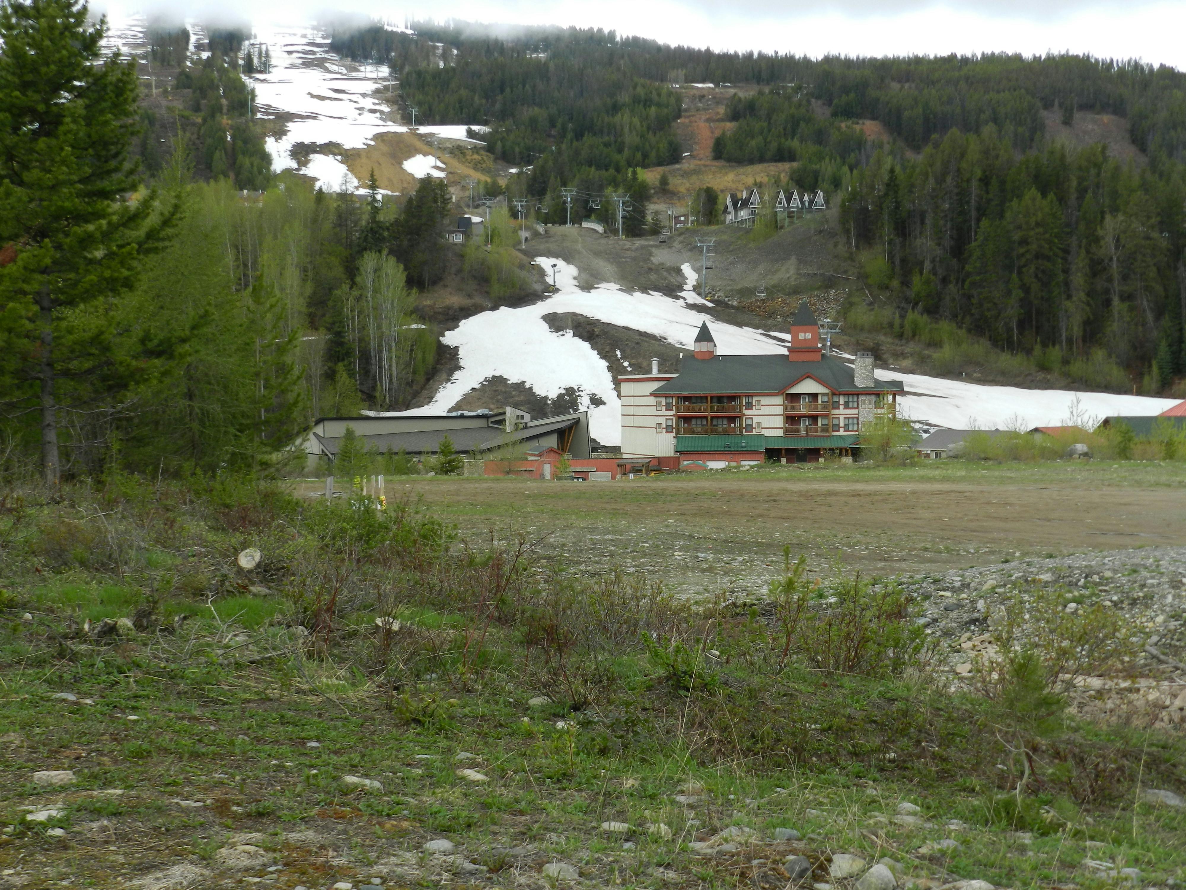 Free stock photo of melting, pine, Polaris Lodge
