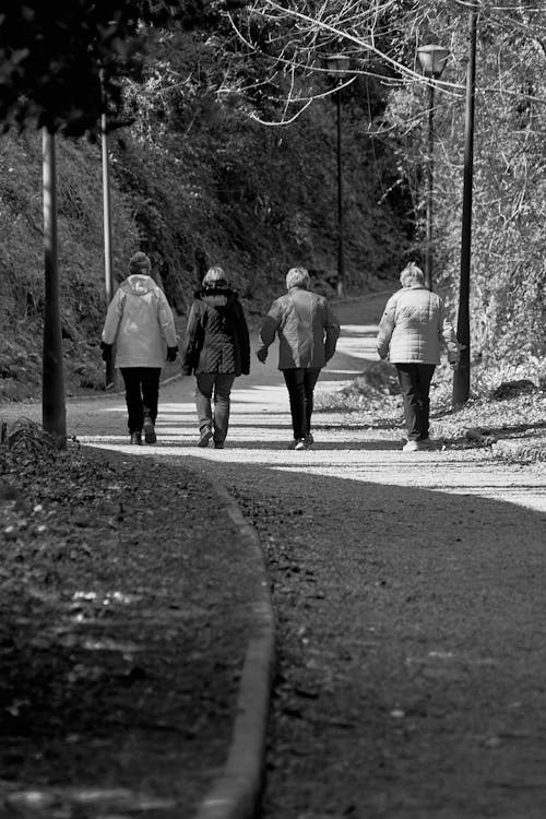Grayscale Photo of People Walking on a Pathway