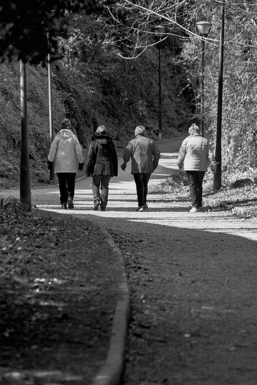 Free Four people walking on a forest path, captured in grayscale for a serene and peaceful effect. Stock Photo