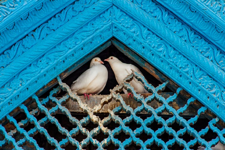 Two White Doves In A Gable Roof