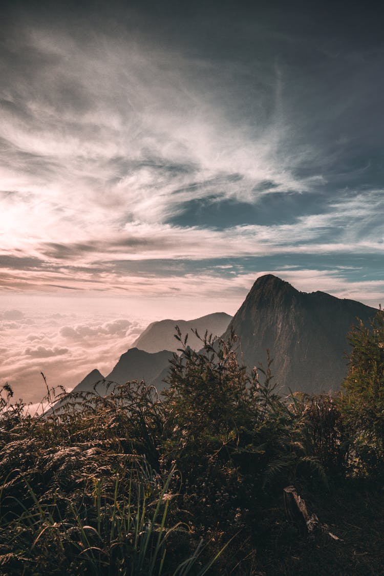 Scenic View Of Mountains