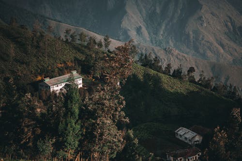 Birds Eye View of Munnar, India