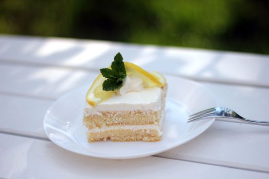 Lemon Cake Lemon Cake Flavored Protein Bars