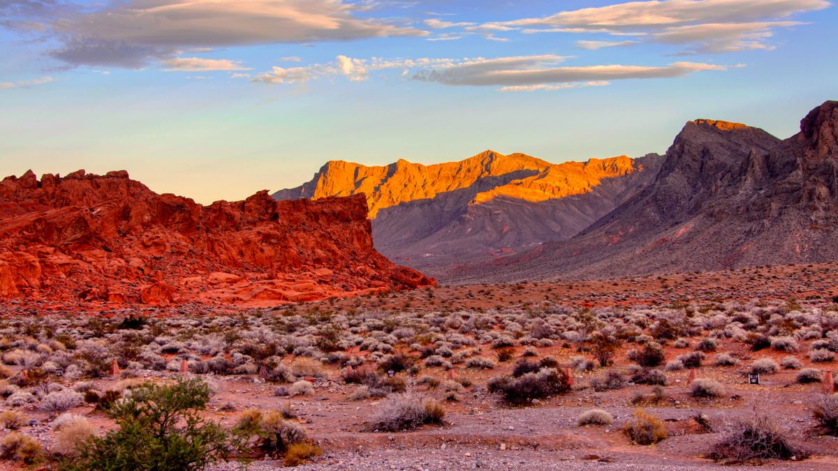 Henderson, NV Free Samples Near Me: Where to Find Legit Deals