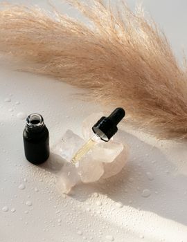 Elegant composition of a dropper bottle with pampas grass, ideal for skincare themes.
