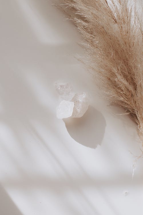 Crystals and Pampas Grass on White Surface
