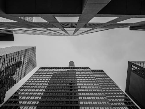 Free Frankfurter skyscrapers  Stock Photo