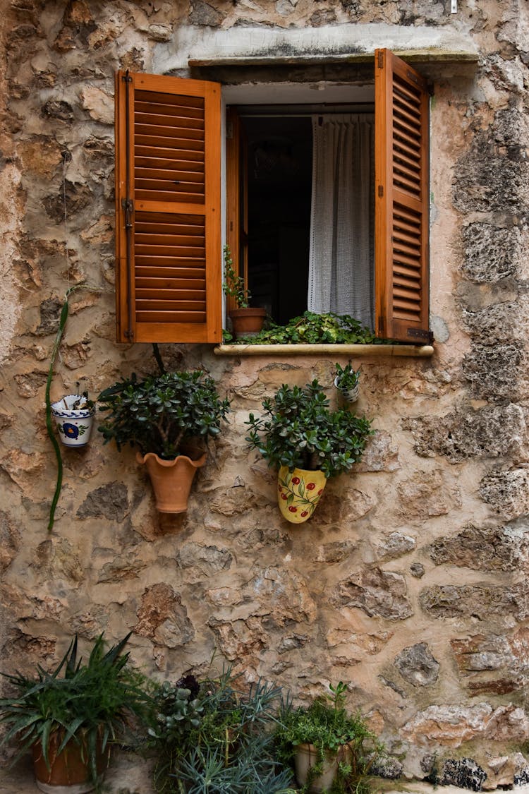 Photo Of A Wooden Window With Plants 