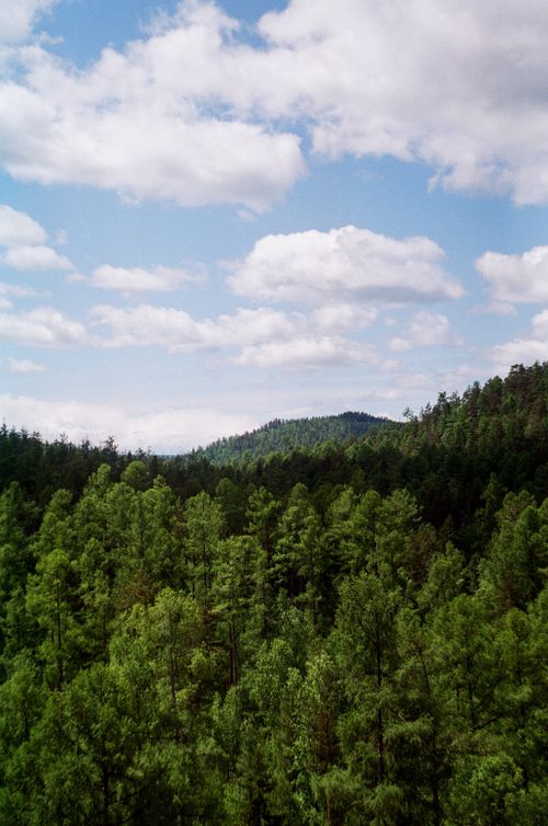 Free Aerial view of a dense green forest stretching into distant hills under a partly cloudy sky. Stock Photo