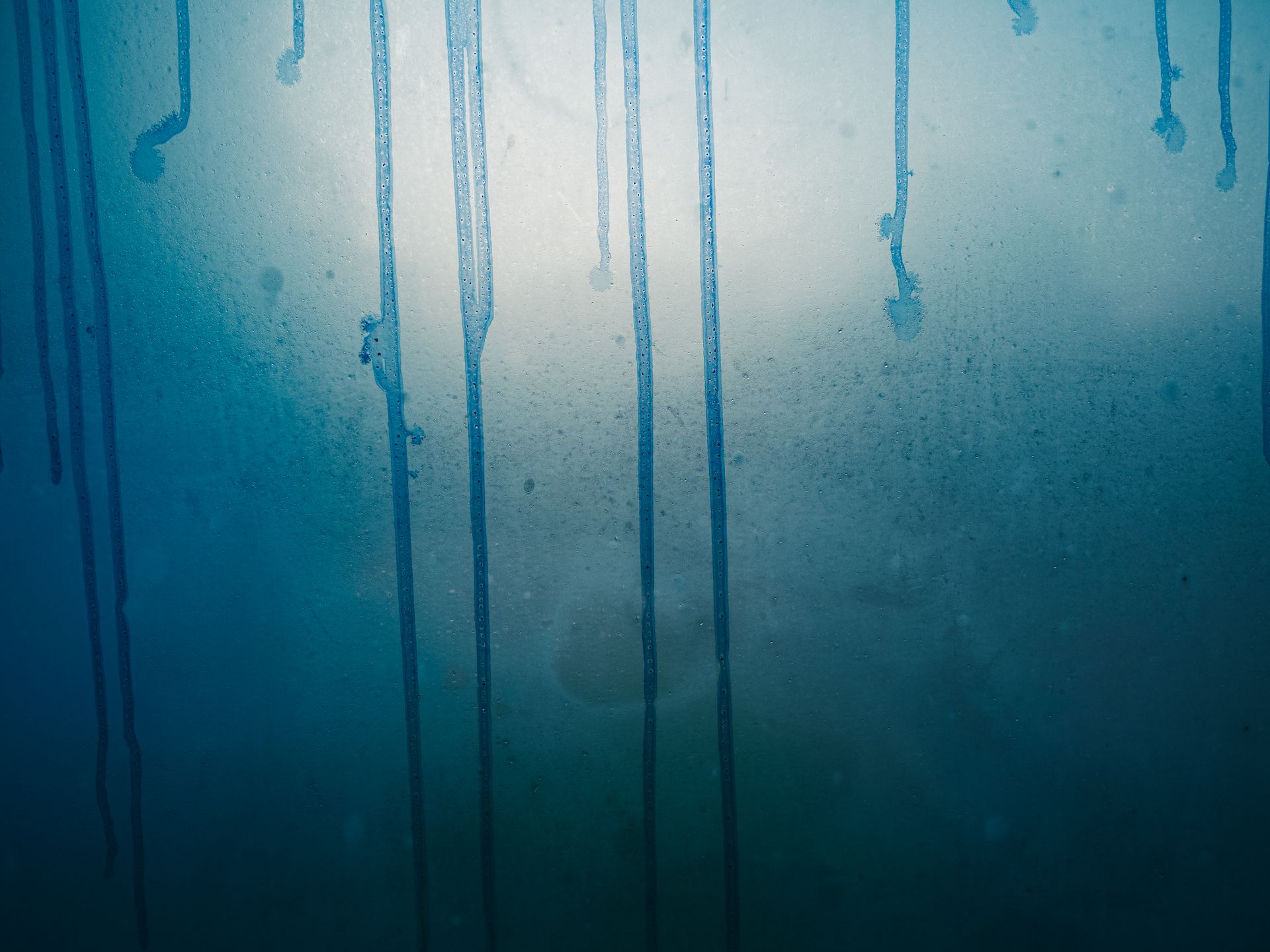 Blue Painted Wall in Close-up Photography