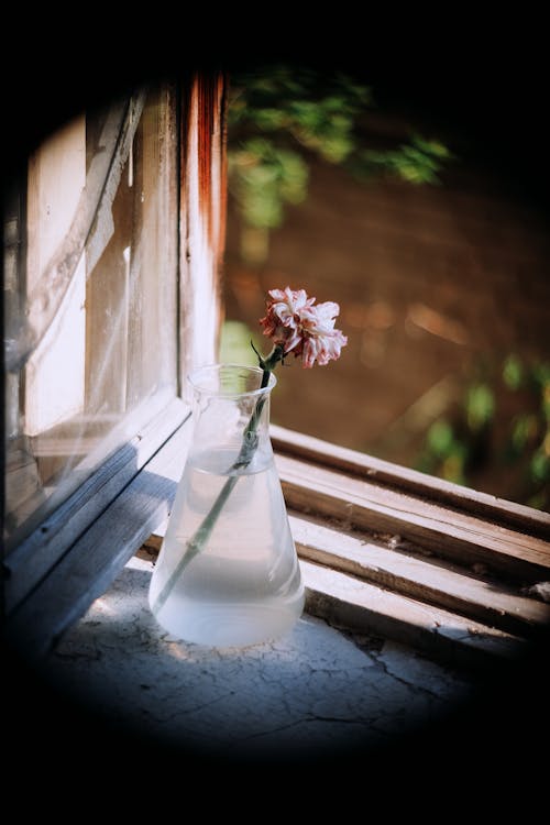Бесплатное стоковое фото с вертикальный выстрел, стеклянная ваза, цветок