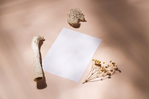 A Blank White Printer Paper Beside Dried Wood and Flowers