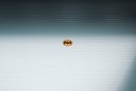 白天，台北市士林区一处金属卷帘门上，有一个极简主义的蝙蝠侠标志