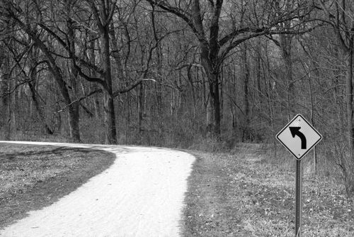 Free Black and white image of a forest path with a left curve road sign. Stock Photo