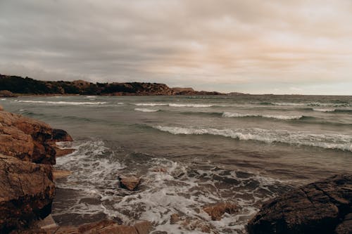 Ücretsiz dalga, dalgalar, deniz içeren Ücretsiz stok fotoğraf Stok Fotoğraflar