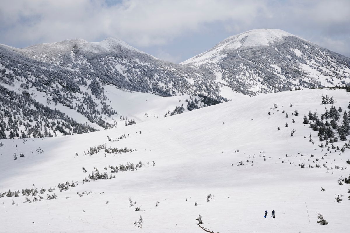 Snow-covered Hakkoda mountains in Aomori Prefecture — the volcanic range that produces Japan's deepest natural tree-skiing snowfields
