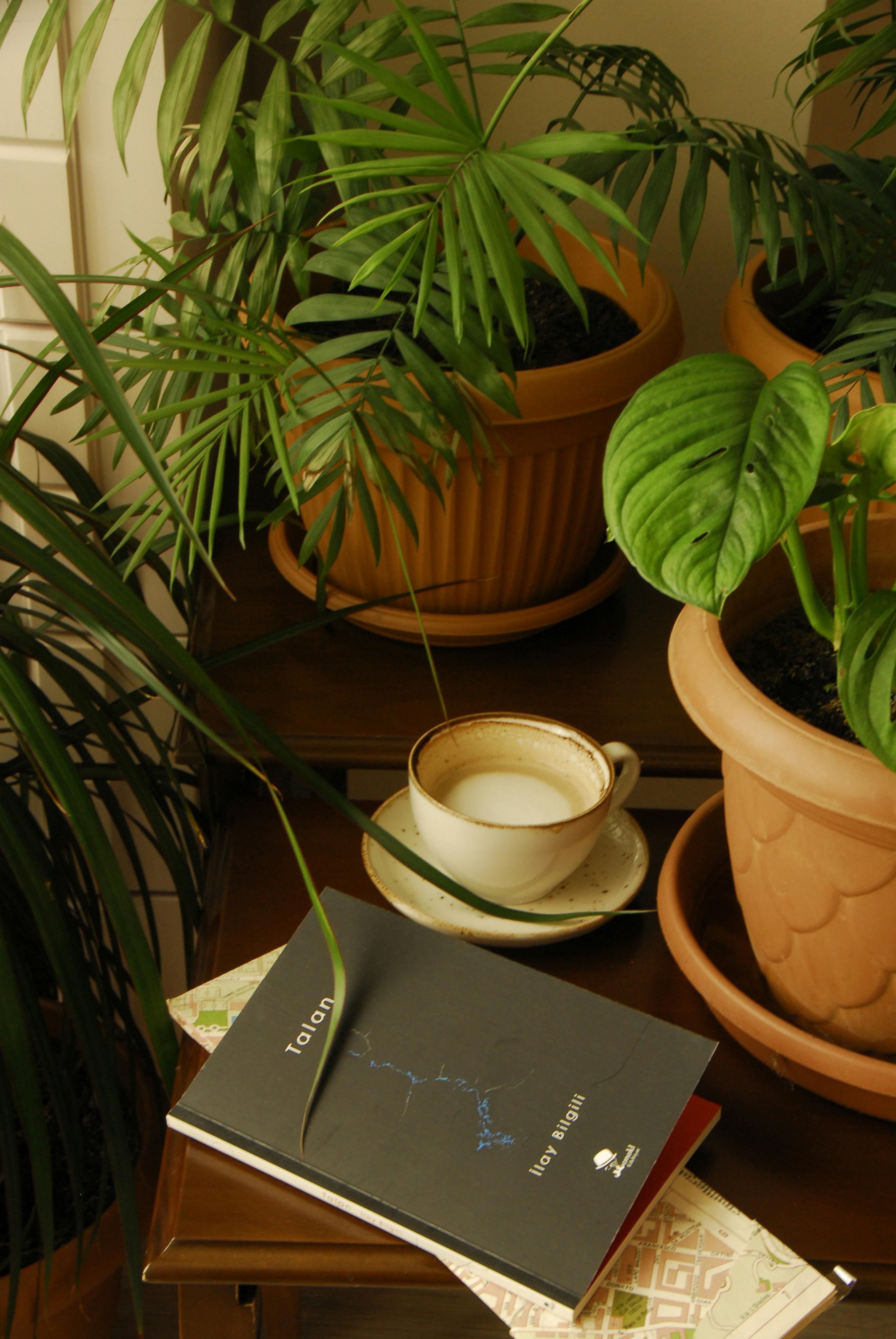 A Book and Cup of Coffee on the Table · Free Stock Photo